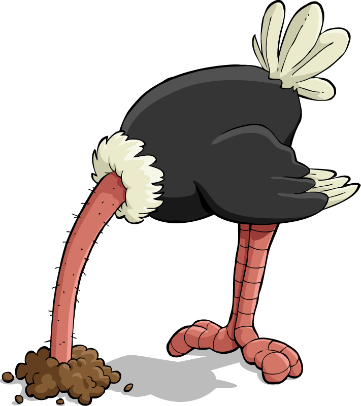 Ostrich with head in sand